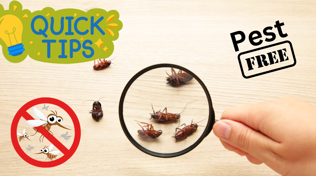 Top 10 Tips to Keep Your Home Pest-Free This Season