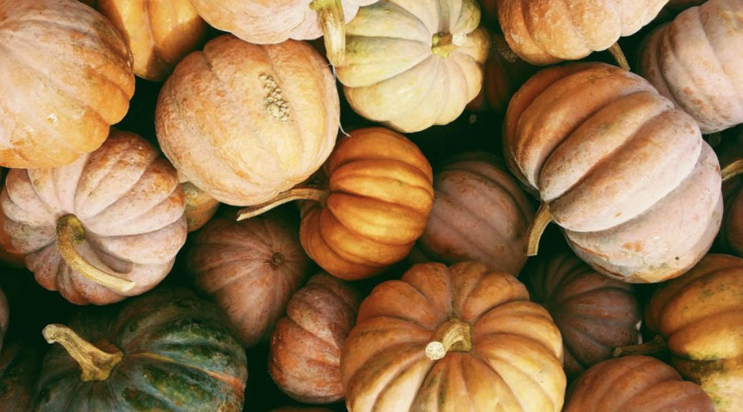 Decorating for Fall: 5 Best Practices