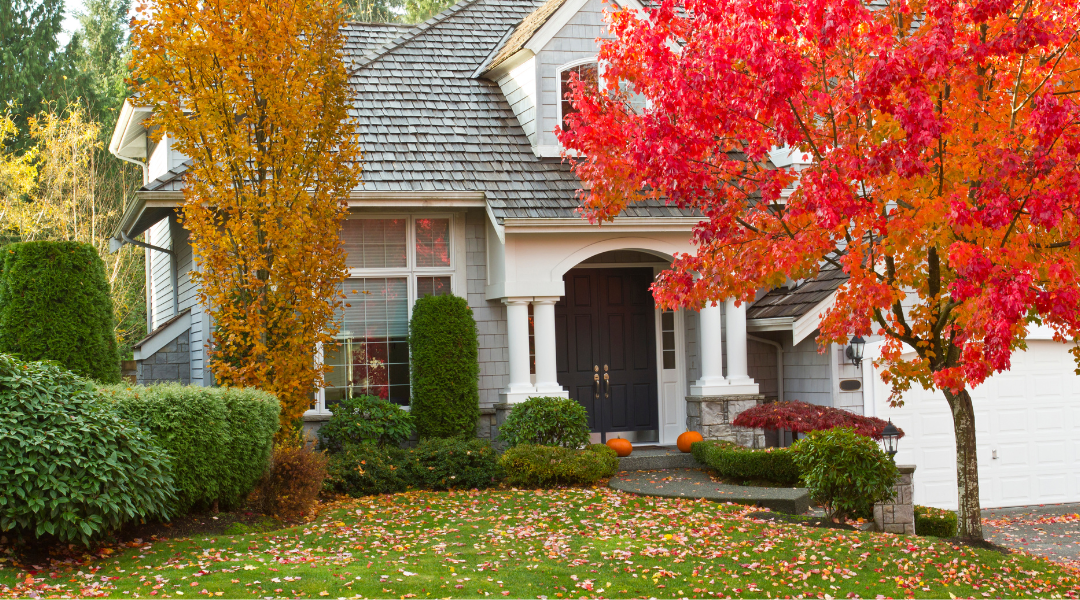 Why Fall is the Most Important Season for Pest Control