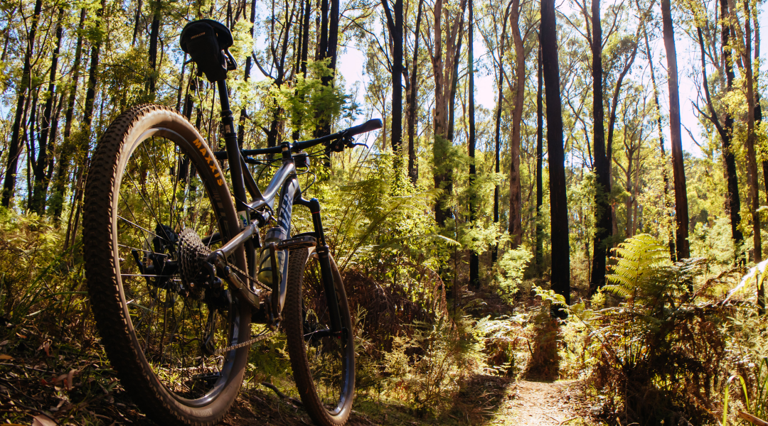 Explore McKinney’s Extensive Network of Hike and Bike Trails