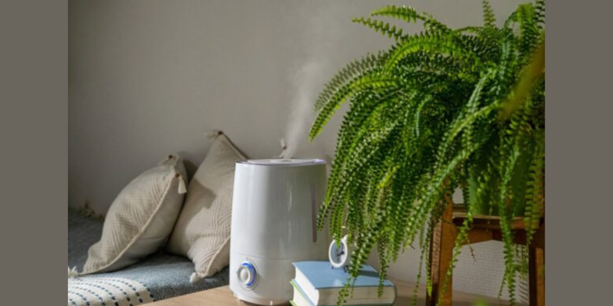 McKinney Today Photos