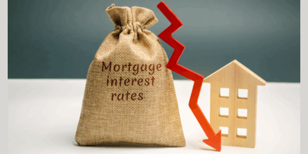 McKinney Today Photos (1)