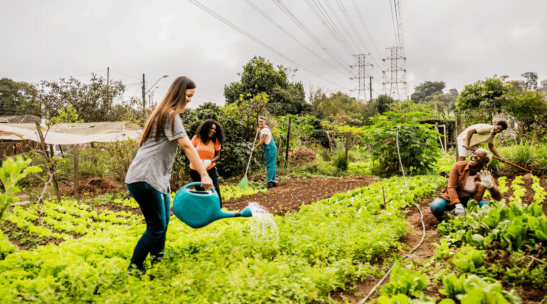 McKinney Approves Community Farm at Gray Branch Parkland