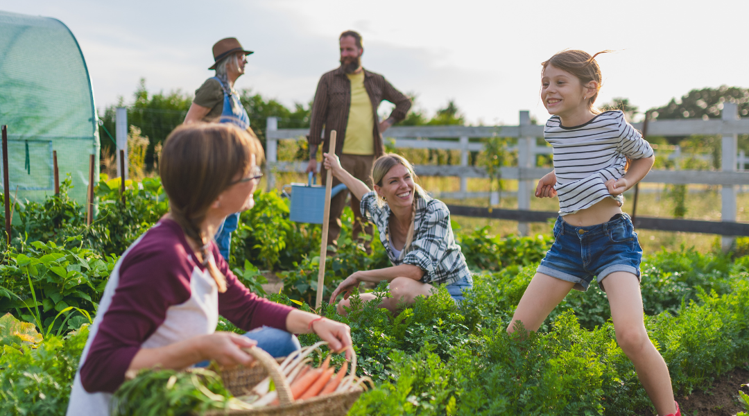 McKinney Roots breaks ground on expanded community farm