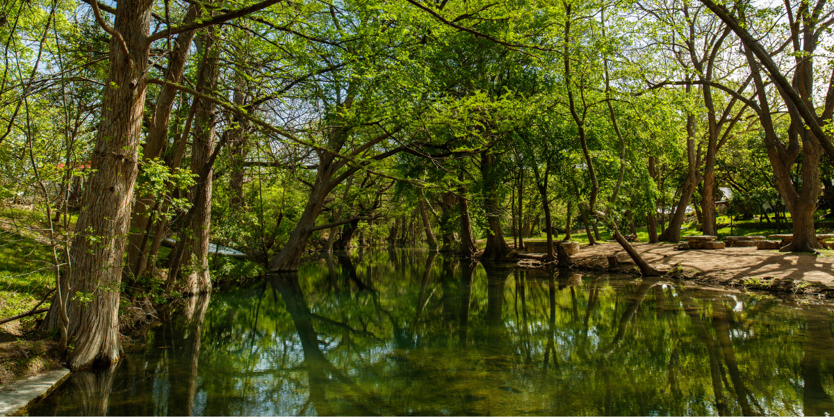 McKinney Today Photos (4)