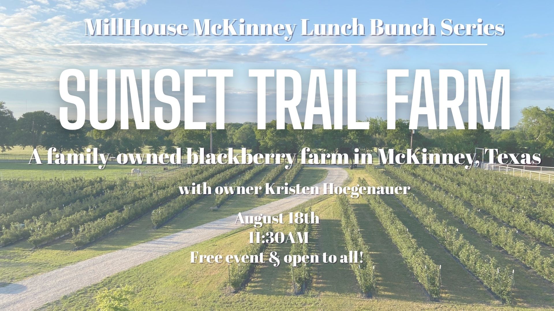 Poster for MillHouse McKinney Lunch Bunch Series presents Sunset Trail Farm, a family-owned blackberry farm in McKinney, Texas, with owner Kristen Hoogenauer, on August 18th at 11:30 AM. This is a free event and open to all.